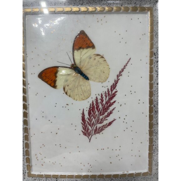 Vintage Butterfly Shadow Box Art Reliance Industries Glass Frame With Gold Detai - Picture 2 of 4